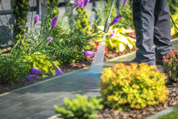 Best Driveway Pressure Washing  in Carlisle, IA